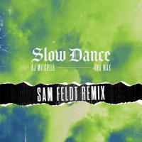 Slow Dance (Sam Feldt RMX)