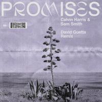 Promises (David Guetta Remix)