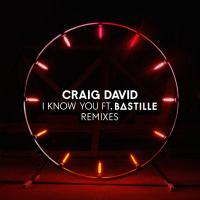 I Know You (Sultan + Shepard Remix)