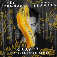 Gravity (Luca Schreiner Remix)