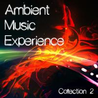Ambient Music Experience Vol. 2