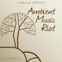 Ambient Music Riot - Collection 2