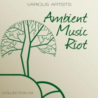 Ambient Music Riot - Collection 3