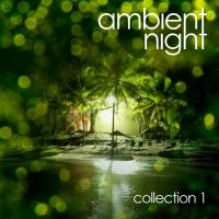 Ambient Night - Collection 1