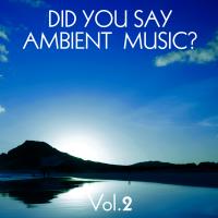 Did You Say Ambient Music Vol. 2