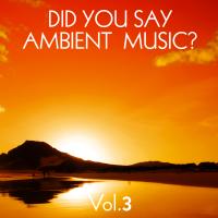 Did You Say Ambient Music Vol. 3