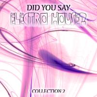 Did You Say Electro House Vol. 2