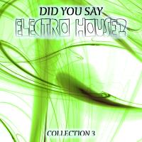 Did You Say Electro House Vol. 3