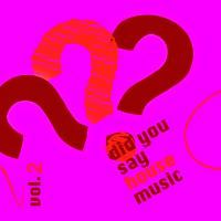 Did You Say House Music Vol. 2