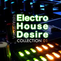 Electro House Desire - Collection 1