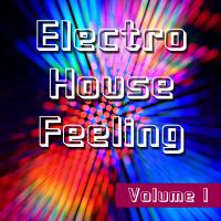 Electro House Feeling, Vol. 1