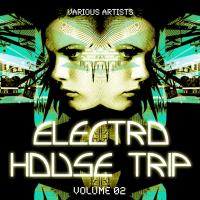 Electro House Trip, Vol. 2