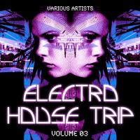 Electro House Trip, Vol. 3