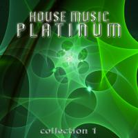 House Music Platinum - Collection 1