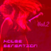 House Sensation Vol. 2