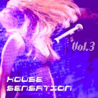 House Sensation Vol. 3