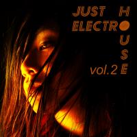 Just Electro House Vol. 2