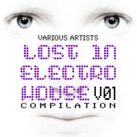 Lost In Electro House Volume 1