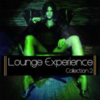 Lounge Experience, Vol. 2